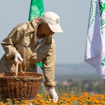 Natura Siberica: Wild Harvesting
