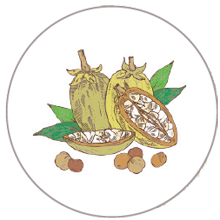 Baobab Proteins